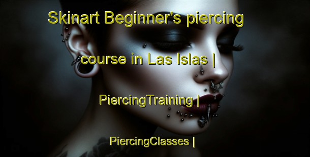 Skinart Beginner's piercing course in Las Islas | PiercingTraining | PiercingClasses | SkinartTraining-Mexico